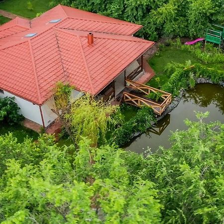 Casa Arcadia 1 Piscina,Jacuzzi, Sauna Buzău Exterior photo